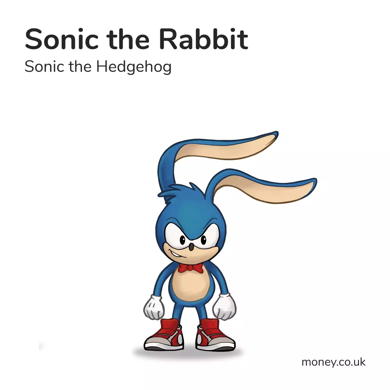 Sonic the Rabbit /