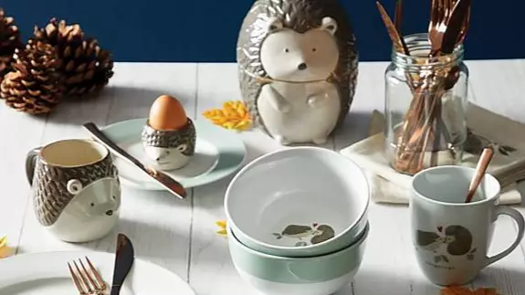 ​Dunelm Has Released A Hedgehog Collection And It’s The Cutest Thing You Will See Today