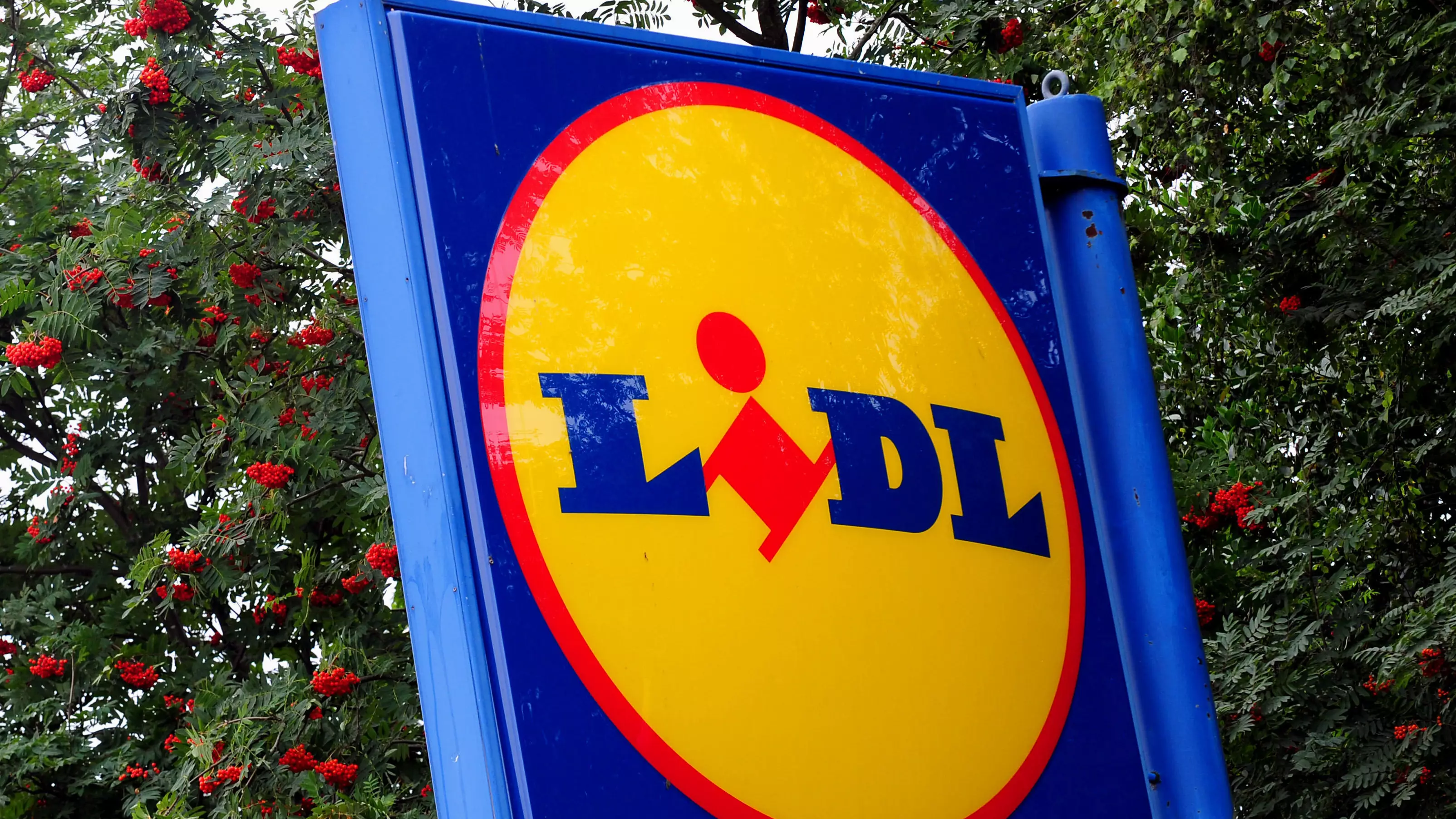 Gang Of Looters Tear Down A Lidl With A Digger