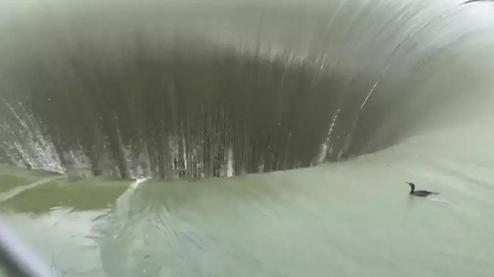 Video Captures Moment Bird Falls Down Gigantic 'Glory Hole' In California
