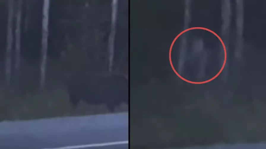 Family Spot Creepy 'Gollum-Like' Creature Emerging From The Woods