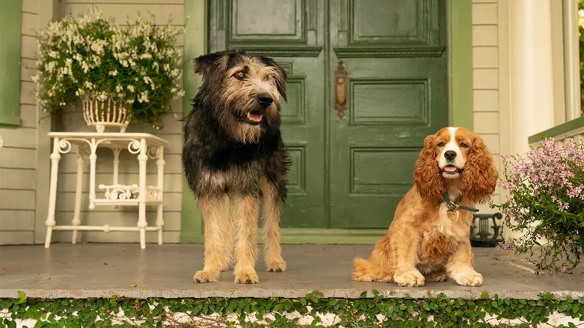 The live-action remake of 'Lady and the Tramp' will drop on 24th March (