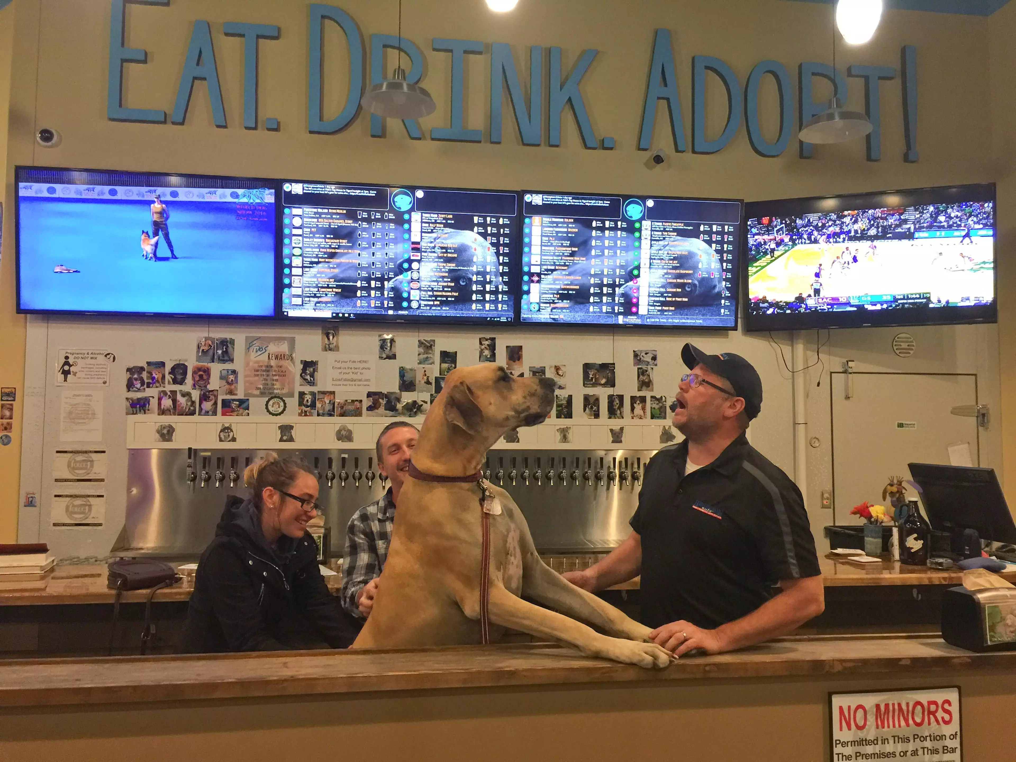 Fido's, claimed to be the World's First Dog Tap House, is located in Tigard, Oregon. (