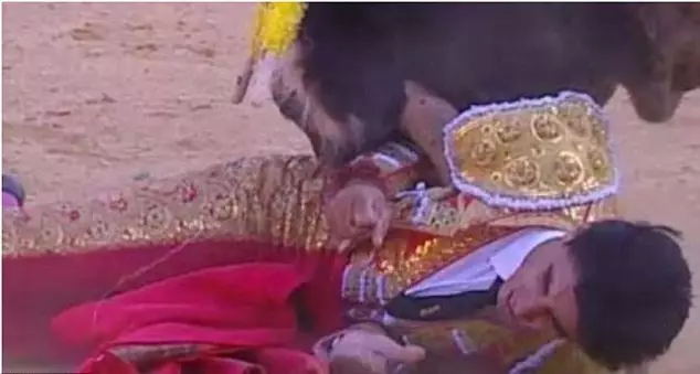 Spanish Matador Gored To Death By 87-Stone Bull Live On TV