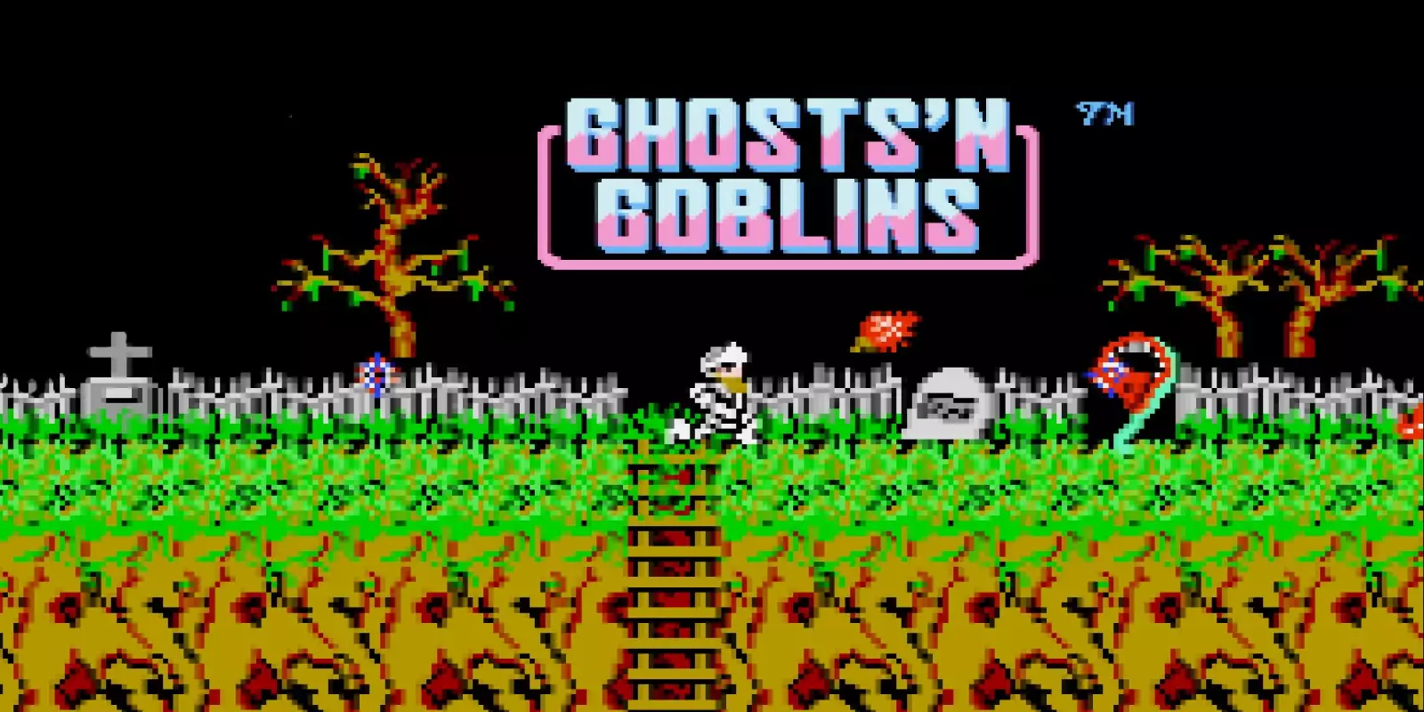 Ghosts 'n Goblins /