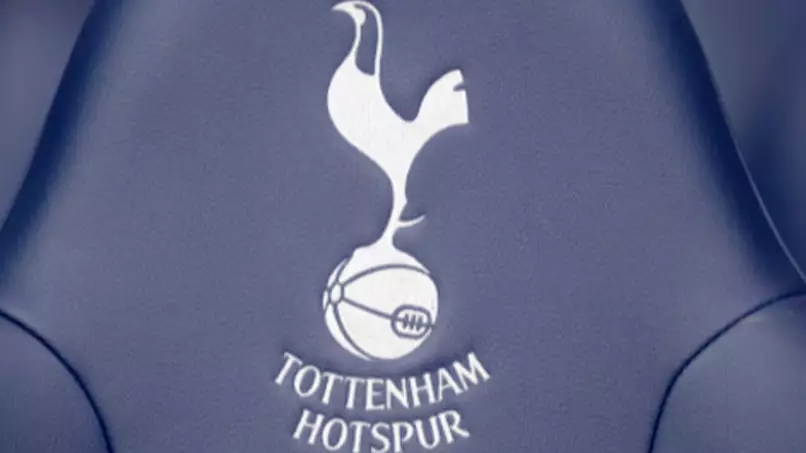Spain Considering Bringing Tottenham Youngster Into National Team Fold
