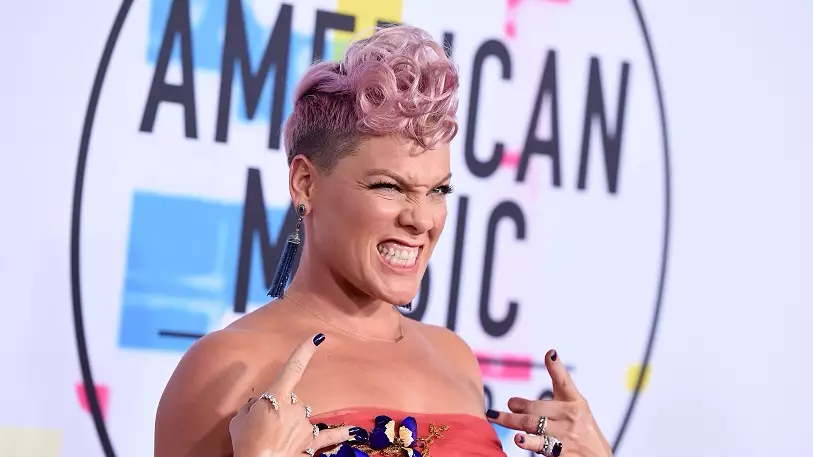 Singer Pink Reveals She’s Raising Her Daughter Willow As Gender Neutral 