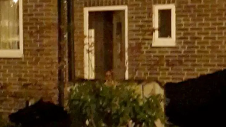 Ghost Hunter Claims Photo Shows Child Spirit Outside Haunted House