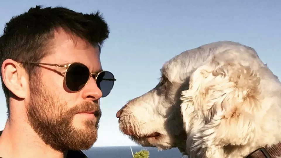 Chris Hemsworth And Elsa Pataky Desperately Searching For Their Lost Dog