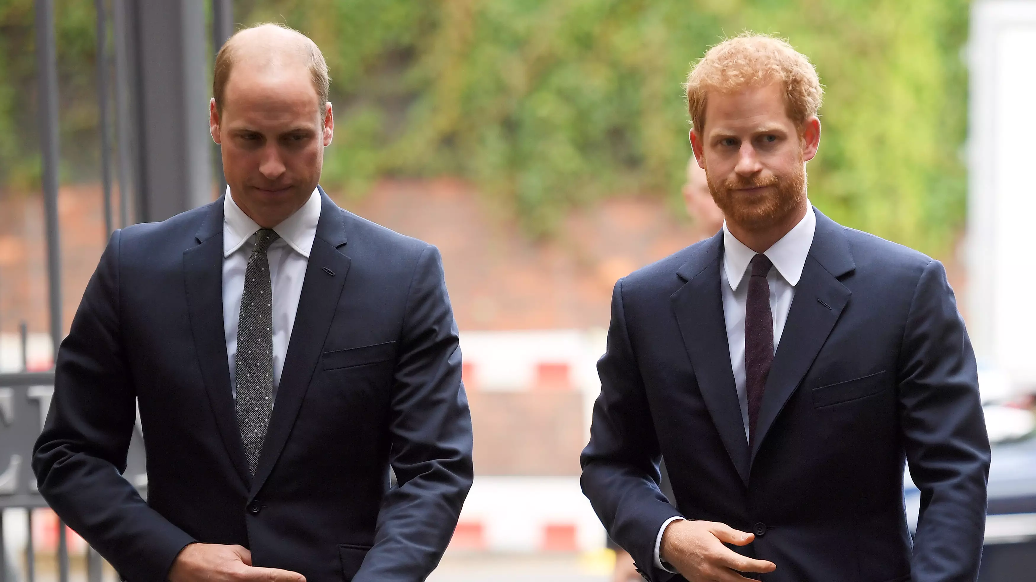 Prince Harry and Prince William are on 'different paths', he says (