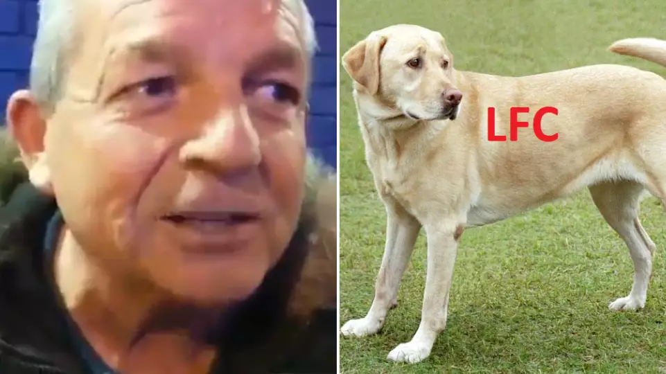 Everton Fan Wanted City To Win Because A Liverpool Fan Once Spray Painted 'LFC' On His Dog