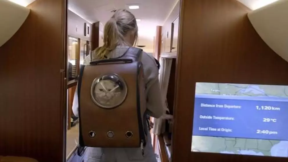 You Can Now Buy The Bag That Taylor Swift Carries Her Cat In