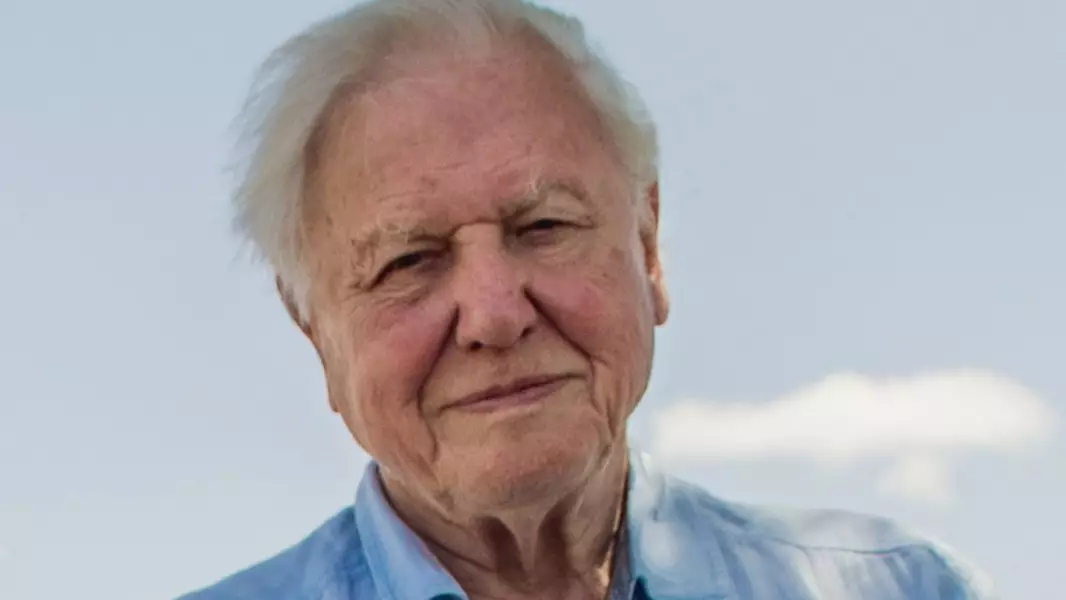 PSA: Sir David Attenborough Has Officially Joined Instagram