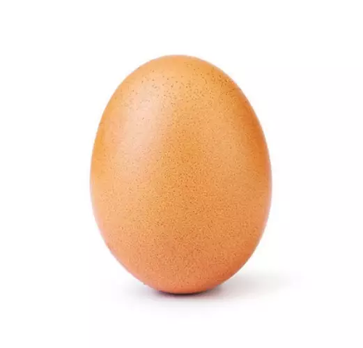 ...And the world record-breaking egg.