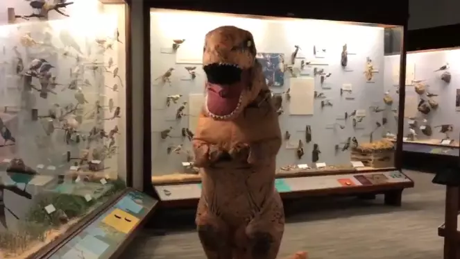 Museum Allows 'Dinosaur' Out To Explore Exhibits Amid Coronavirus Closure