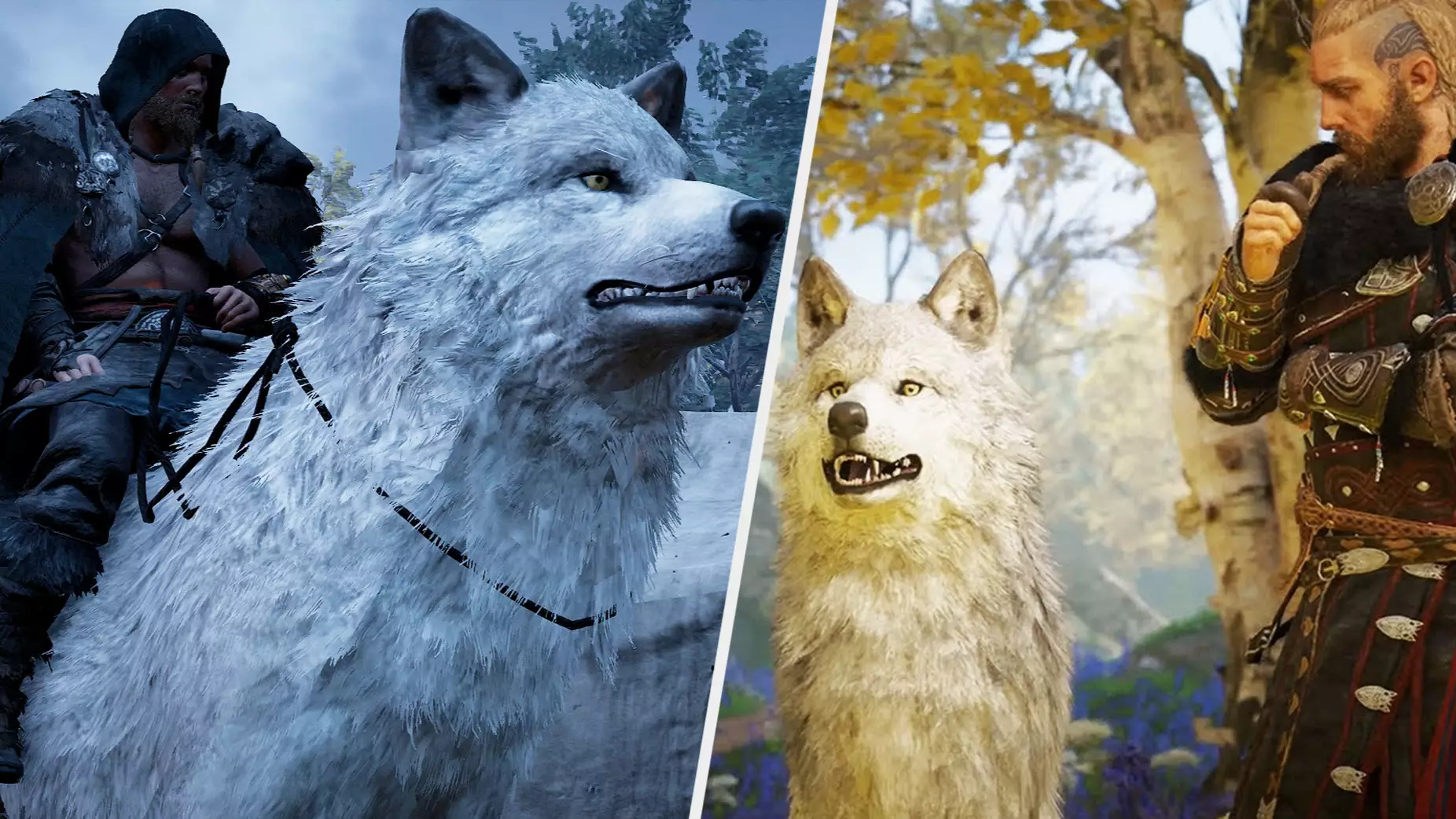 'Assassin's Creed Valhalla' Lets You Ride A Giant Wolf, Here's How To Get It