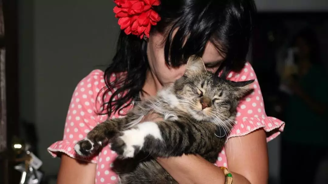 Katy Perry Shares News Of The Death Of Her Cat Kitty Purry