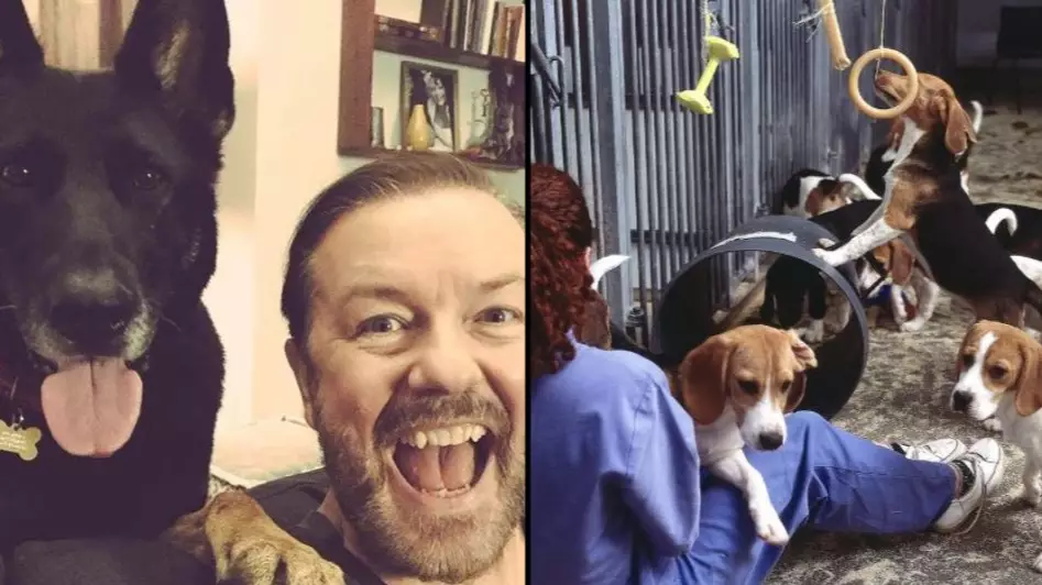 Ricky Gervais Calls For UK Government To Ban Experiments On Dogs