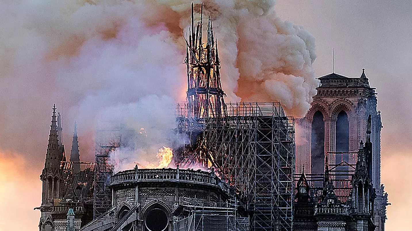 Notre Dame's 200,000 Roof Bees Said To Have Survived Fire