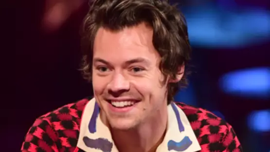 Harry Styles Fans Convinced He Has A Secret Twin Who Works In Starbucks