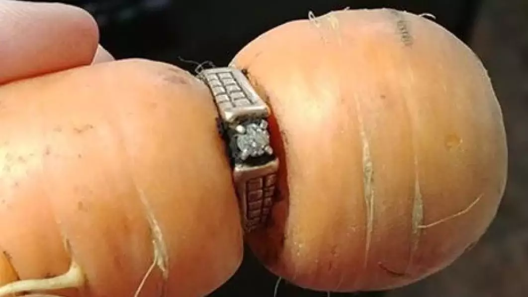 ​Lost Engagement Ring Turns Up On A Carrot. Where Else?