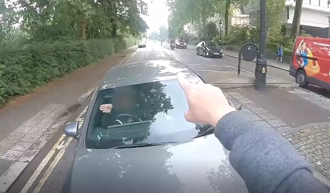 The motorist driving the wrong way down the road.