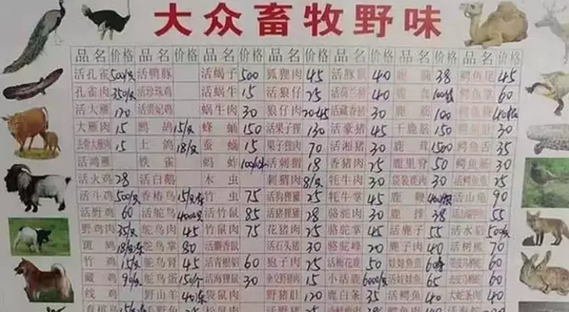This is a price list reportedly from the Huanan Seafood Market and one of the items is said to be 'koala' or 'live tree bears'