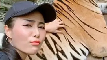 Woman Grabs Tiger's Testicles As She Poses For Photo At Zoo
