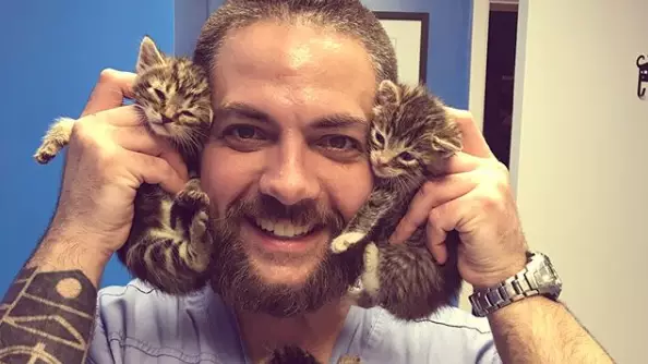 ​These Orphaned Cats Love This LAD So Much They Think He's Their Mum
