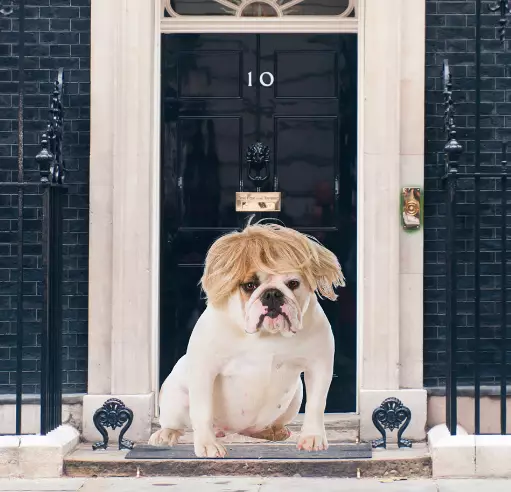 Loads of people are naming their pups after the PM (