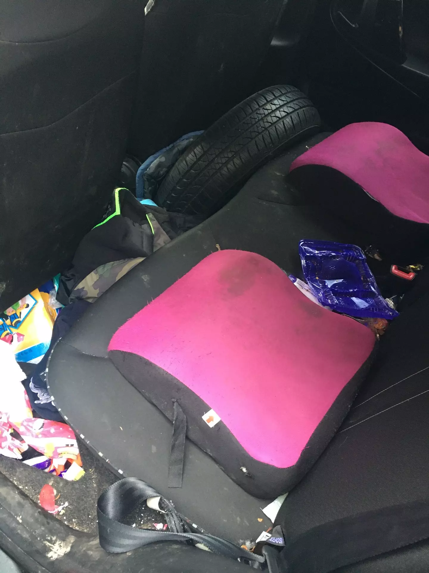 Abigail Kaczalska's back seats are very messy (