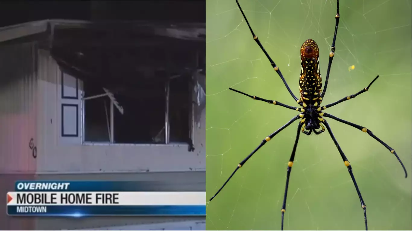 Man Accidentally Burns Down Home After Trying To Kill Spider  