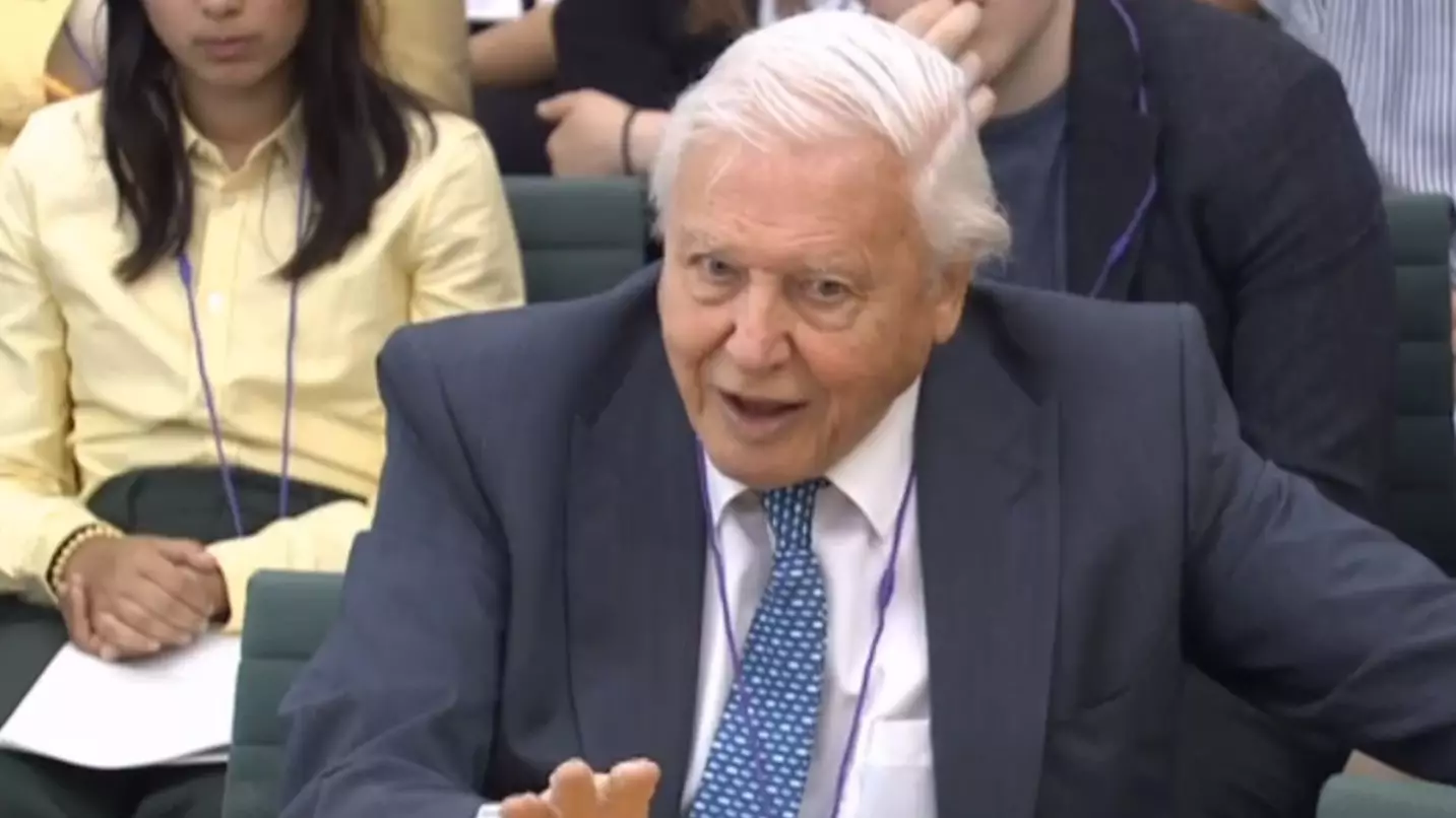 David Attenborough Goes In On Scott Morrison For Supporting Coal Mines