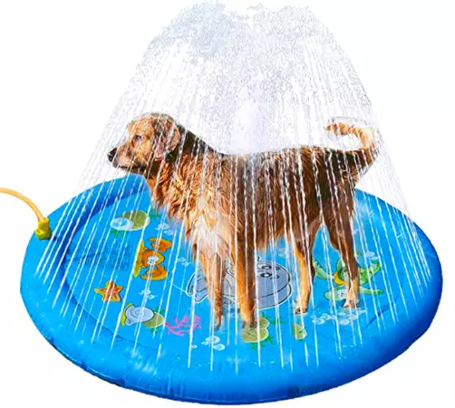 Amazon is selling a doggy sprinkler paddling pool and it's perfect to cool down your pup during the heatwave (