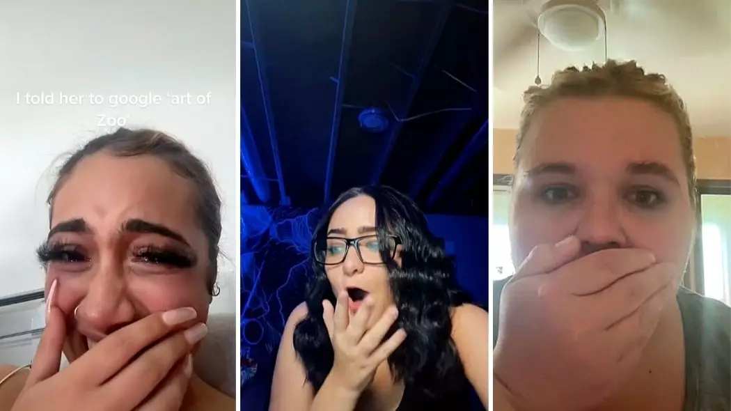 What’s The ‘Art Of The Zoo’ Trend On TikTok?