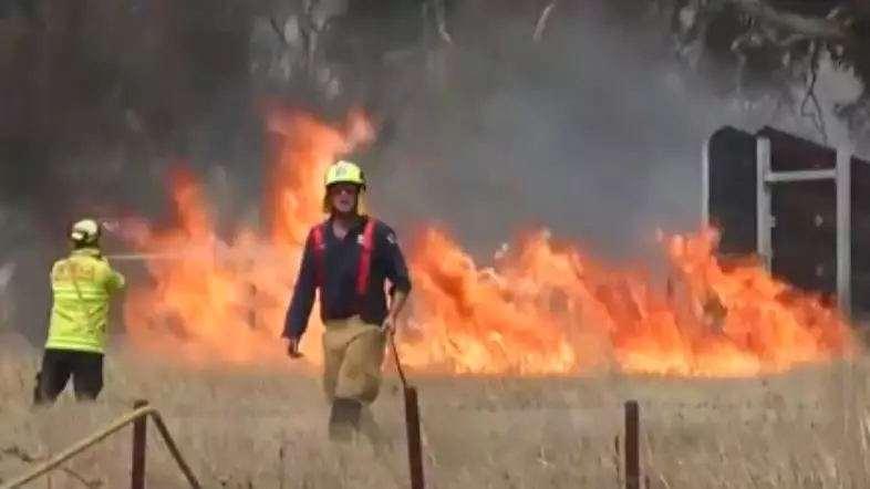 Aussie Kid Donates Their Birthday Cake To Firefighters Battling Blazes 