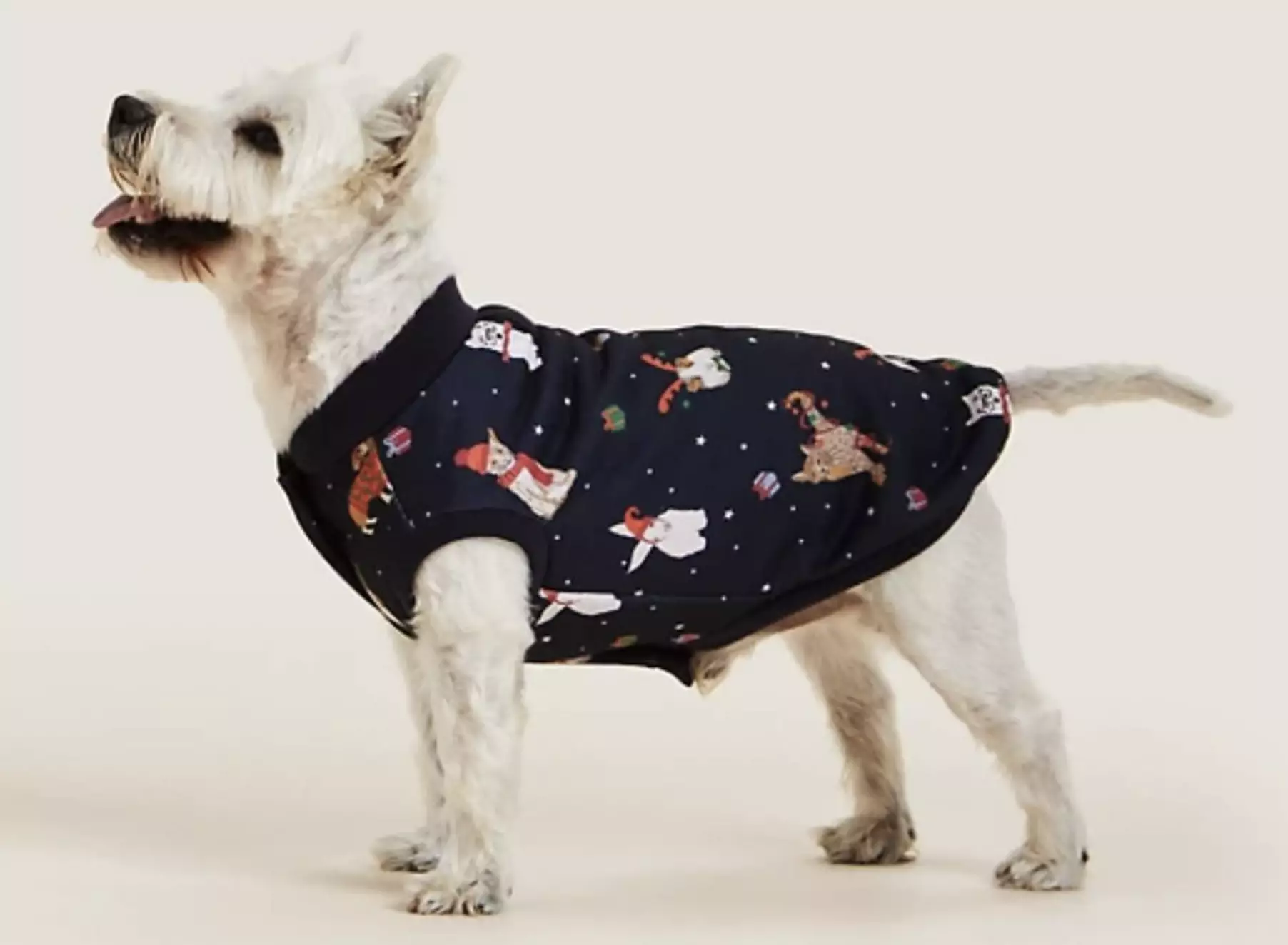 The sets are adorable, with a cute printed jumper for your pooch (