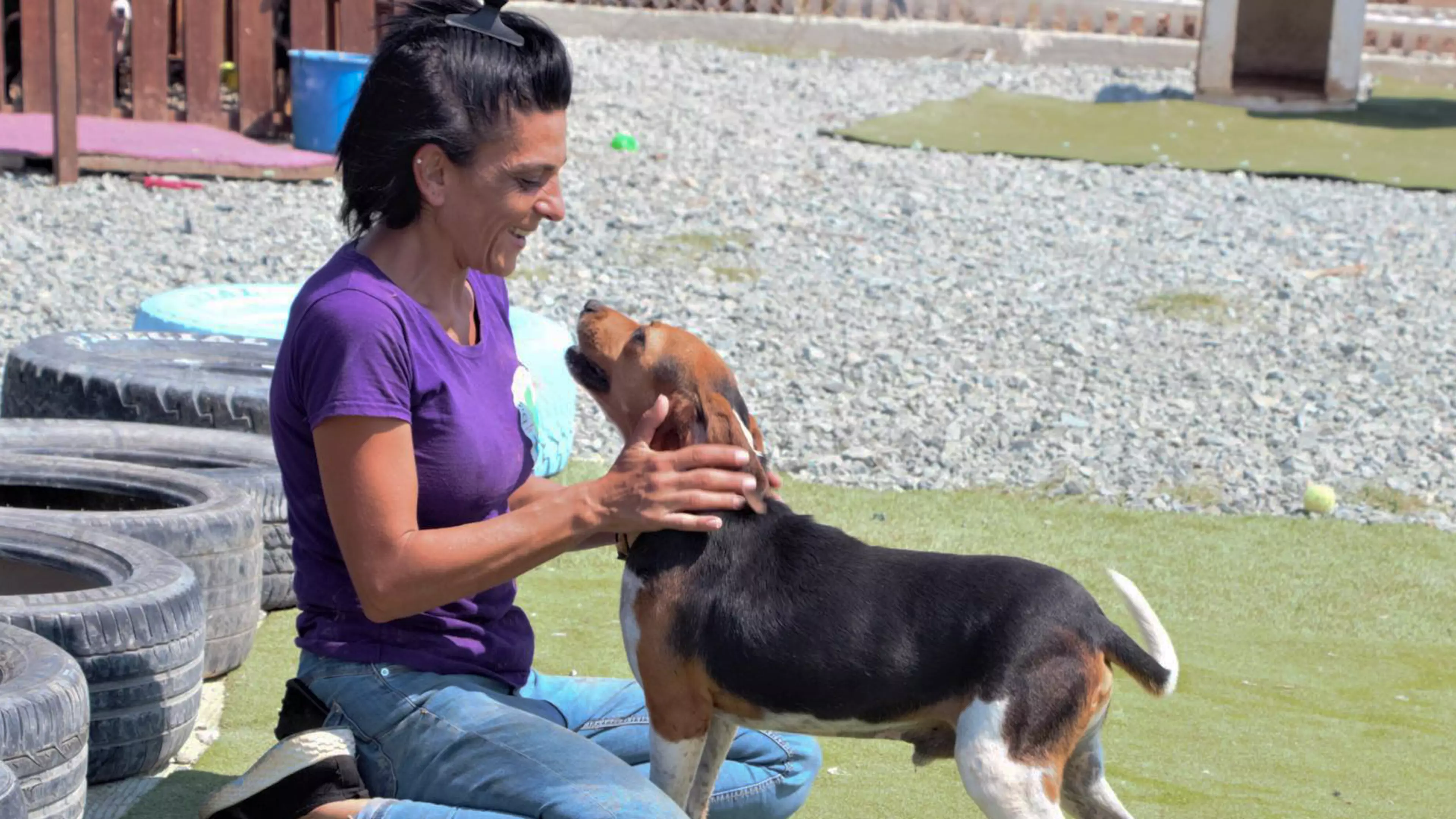 Dimitra Andreou now owns Doggy Warriors Rescue Sanctury and works there full time (