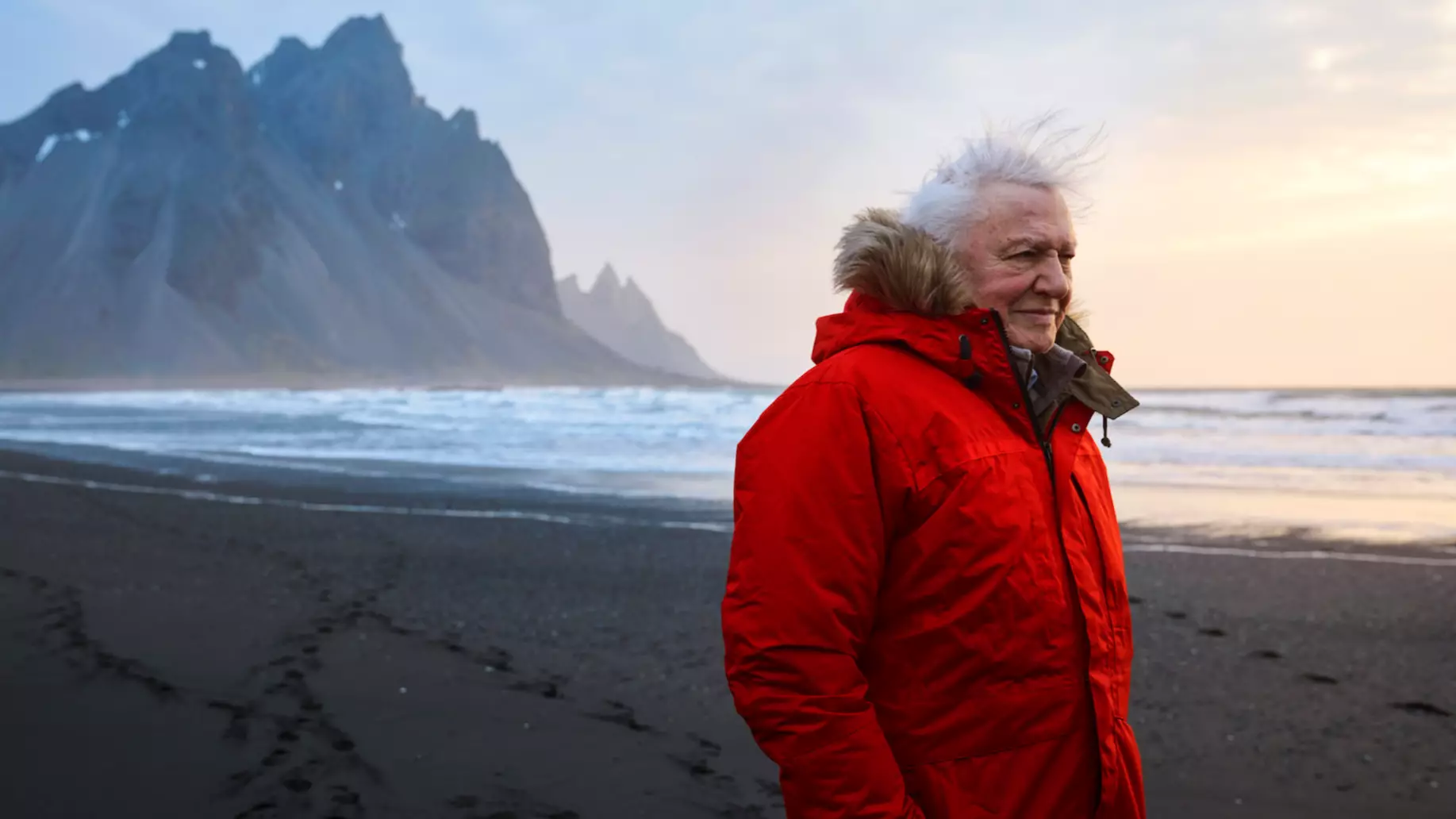 BBC Apologises For Embarrassing Blunder In David Attenborough's New Show
