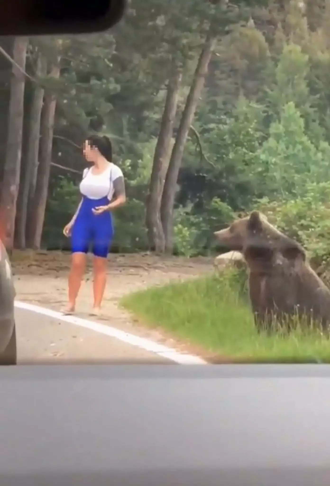 The woman got out of her car and approached the bear.