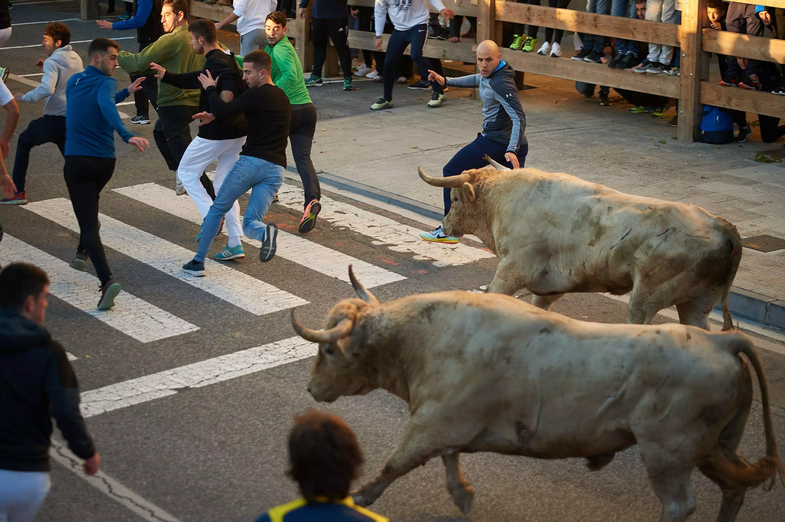 A bull running event earlier this month in Tafalla, central Navarra.