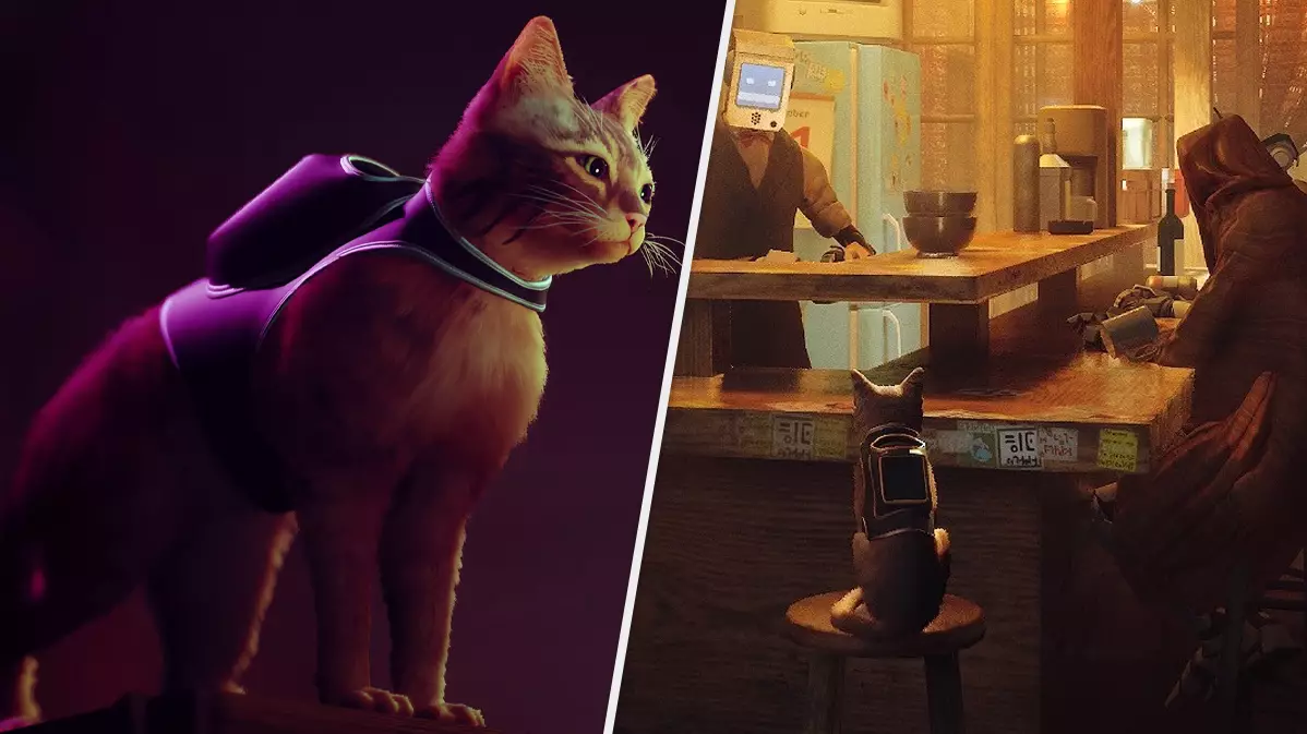 Backpack-Wearing Cat Detective Simulator ‘Stray’ Launches This Year, Sony Confirms 