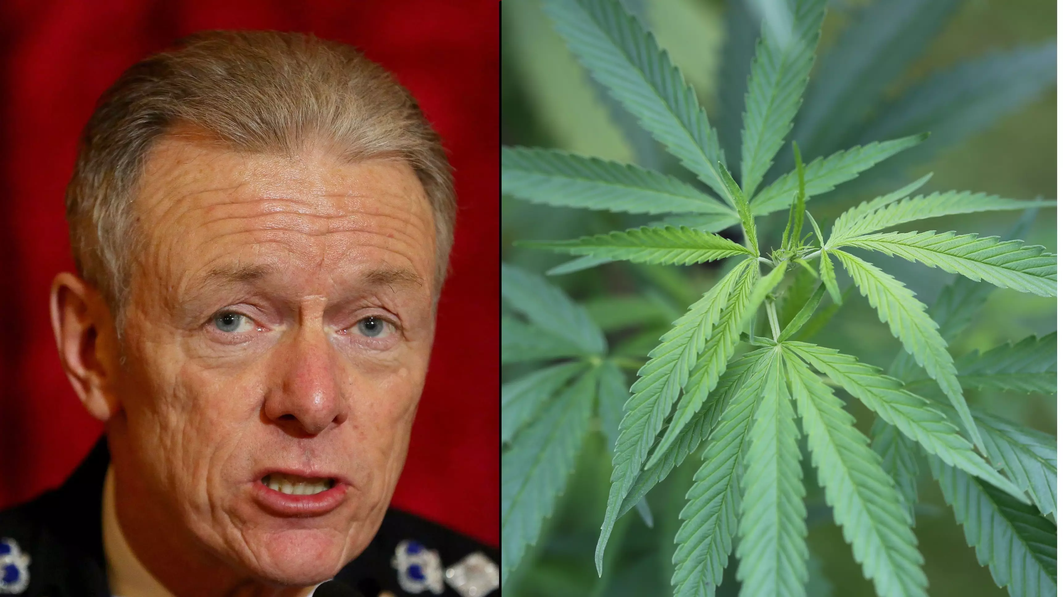 Former Police Chief Calls For 'Urgent Review' Into UK Cannabis Laws