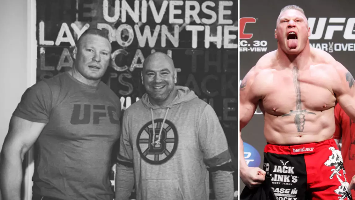 Dana White Confirms Chances Of A Brock Lesnar UFC Return
