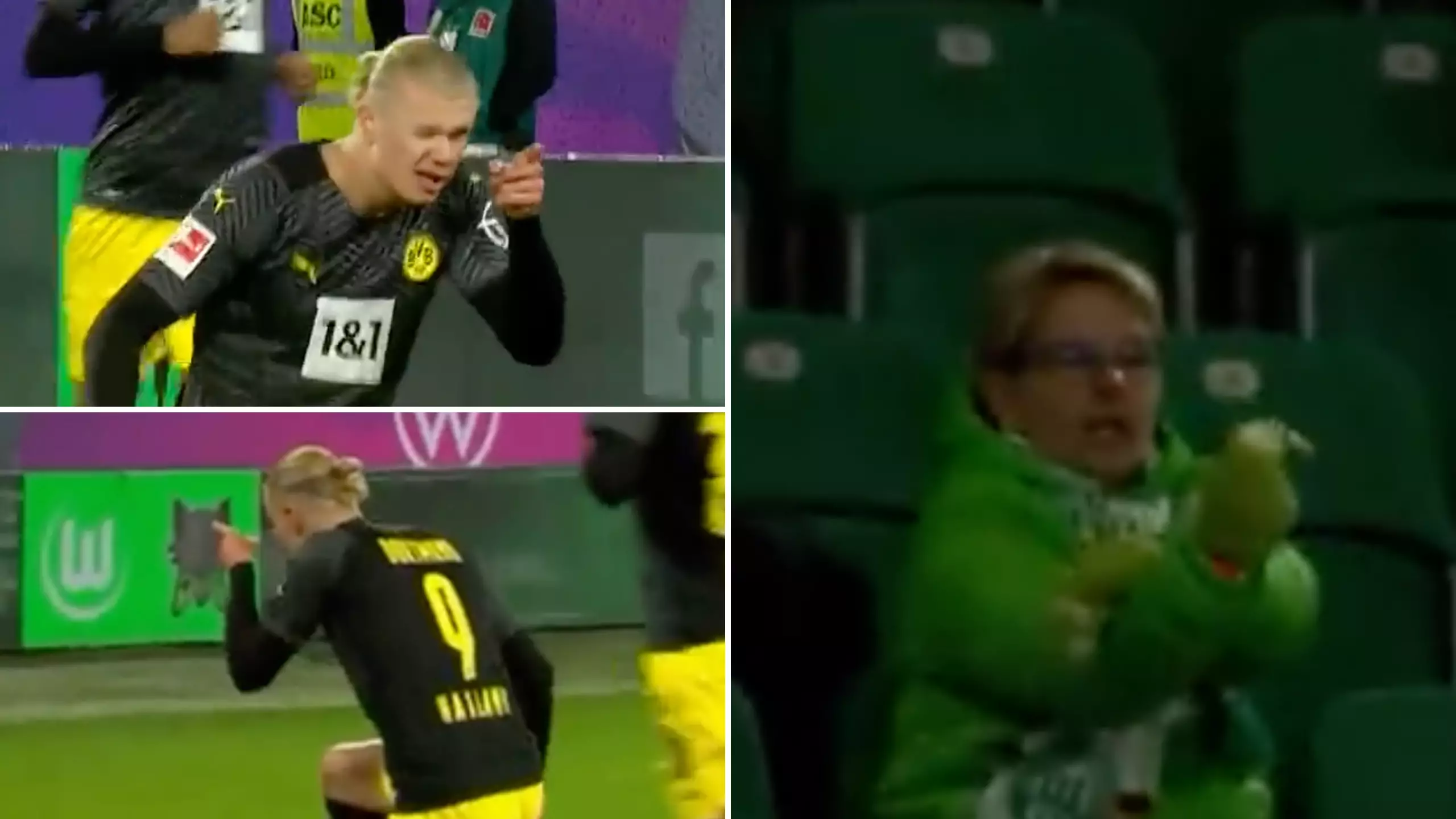 Erling Haaland Really Beefed With A Wolfsburg Fan During His Celebration, Her Reaction Has Gone Viral