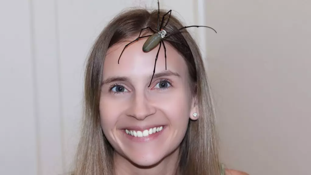Woman Relaxes By Letting Poisonous Spiders Crawl On Her Face