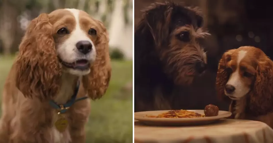New ‘Lady And The Tramp’ Trailer Revisits *That* Spaghetti Scene And OMG