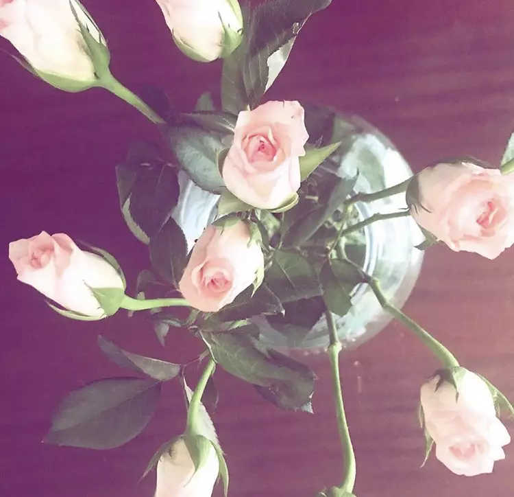 Rose says stop being so harsh and comparing yourself to others, instead try focusing on self-care and treat yourself to flowers (