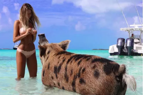 Law Student Travels Round The World Being Photoed With Animals