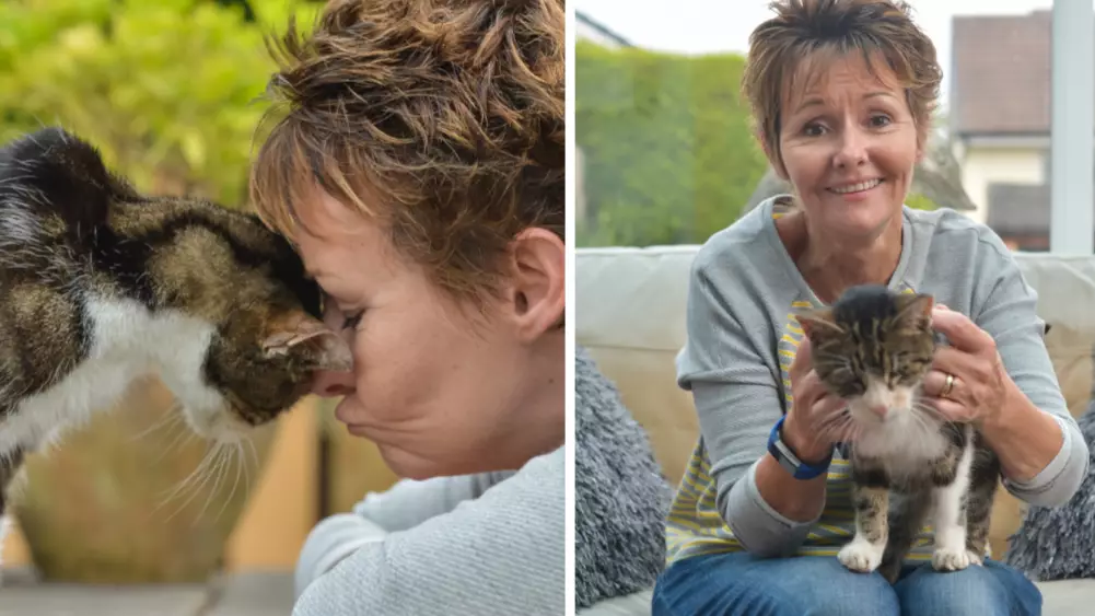 Elderly Cat, 17, Finds Its Way Home After Going Missing 13 Years Ago
